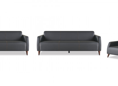 Sofagarnituren Schwarz 3-Sitzer 2-Sitzer Sessel Einfarbig Leder Set Sofas