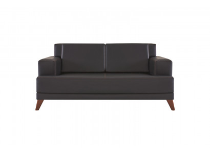 Couch Leder 2-Sitzer Sofa Schwarz Einfarbig Modern Design Ledesofa Holz