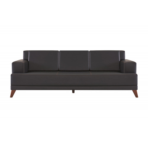 Ledersofa Modern 3-Sitzer Schwarz Einfarbig Couch Polster Kissen Holz