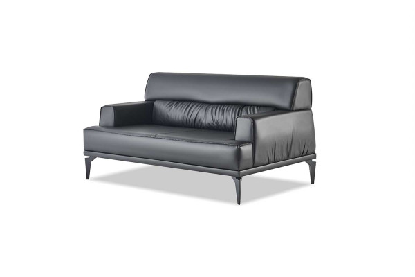 Sitzmöbel Moderner Sofa-Set 2-Sitzer Sessel Schwarz Sofagarnituren Leder