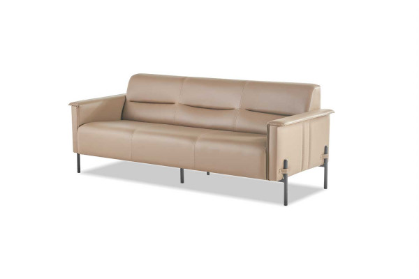 Komplett Modern Sofa-Set 3-Sitzer 2-Sitzer Sessel Beige Ledersofa Holz