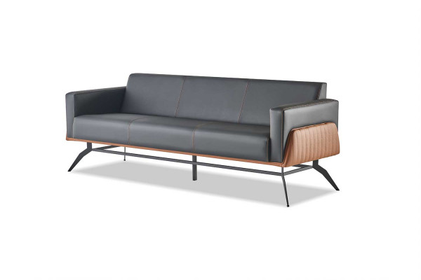 Sofa-Set Schwarz Braun Ledersofas Sitzmöbel 3-Sitzer 2-Sitzer Couches