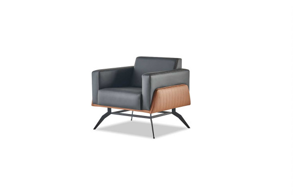Ledersofas Set Komplett Leder Holz Schwarz Braun 2-Sitzer Sessel Modern