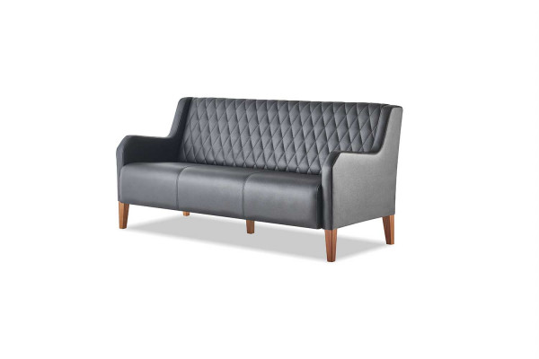 Ledersofa Sofa 3-Sitzer Schwarz Sitzmöbel Modern Leder Holz Dreisitzig