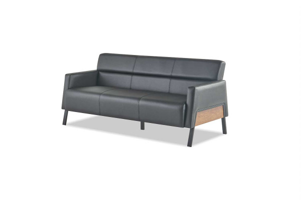 Ledersofas Sofa-Set 3-Sitzer Schwarz Modern Leder Edelstahl Couch Holz