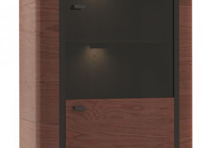 Vitrine Aktenschrank Schrank Vitrinen Büro Wohnzimmer Hochschrank Regal