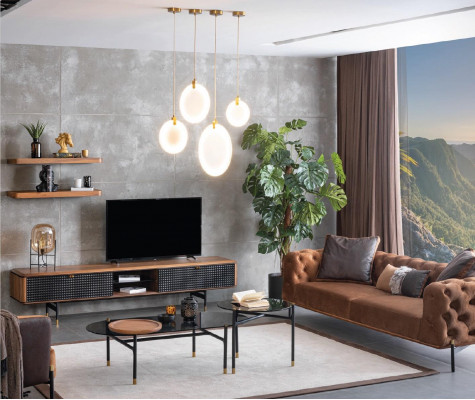 Wandregal Wohnzimmer Design Echtholz braun Farbe Neu Möbel Material Holz