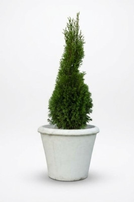 Blumenkübel Pflanz Kübel Dekoration Figur Vasen Garten Blumentöpfe Natur