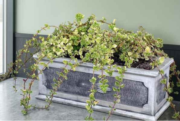 Blumenkübel Pflanz Kübel Dekoration Natur Figur Vasen Garten Blumentöpfe
