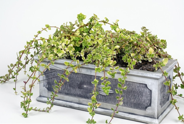 Blumenkübel Pflanz Kübel Dekoration Natur Figur Vasen Garten Blumentöpfe