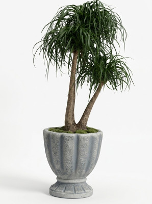 Design Blumentopf Deko Top Planz Kübel Gefäß Töpfe Figur Gesicht Skulptur