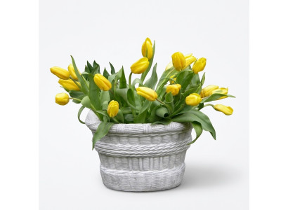 Design Blumentopf Top Dekorative Planz Kübel Gefäß Töpfe Figur Gesicht