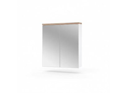 Spiegelschrank Badezimmerschrank Badspiegel 60x20x70 cm Schränke