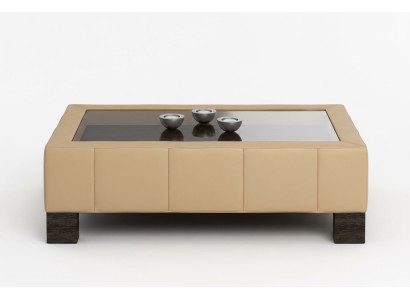 Couchtisch Wohnzimmer Tisch Kaffeetisch Glas Design Beistelltische Tische Sofa