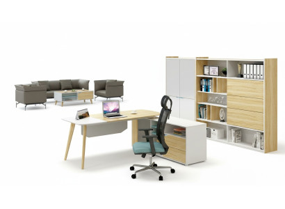 Aktenschrank Bücherregal Regale Schrank Luxus Büro Möbel Schränke 190cm Holz neu
