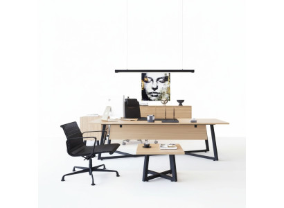 Modernes Büro Set Schreibtisch Couchtisch Aktenschrank Kommode 4tlg.