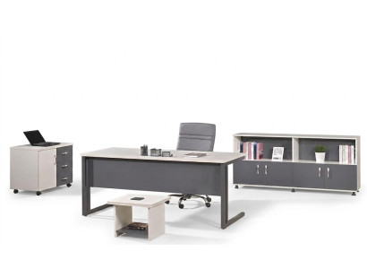 Büromöbel Grau Set 4tlg Schreibtisch Komplettbüro Schrank Holz Gruppe
