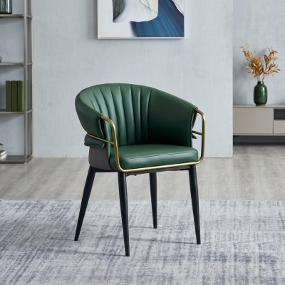 Grüner Esszimmerstuhl Designer Holzfüße Kunstlederstühle Edelstahl Möbel