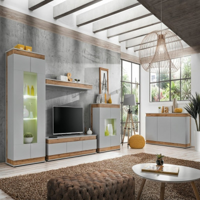 Wohnzimmer Set 5 tlg TV Ständer Modern Vitrine Holz Möbe Luxus Kommode Neu
