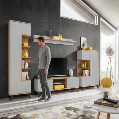 Wohnwände Garnitur 4 tlg Luxus Wohnzimmer Set TV-Ständer Bücherregal Möbel Neu
