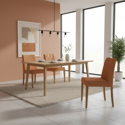Luxus Einrichtung Moderne Stuhl Braun Neu Holzstuhl Design Esszimmer