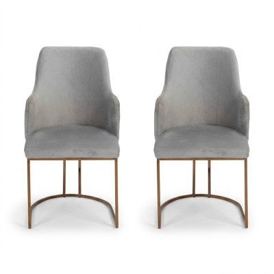 Modern Esszimmerstuhl Küchenstühle Luxus Design 2x Stühle Lehnstühle Grau Neu