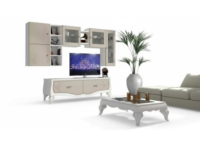 Wohnwand Wohnzimmer Luxus Set Vitrine Lowboard Wandregal TV 5 tlg. Neu