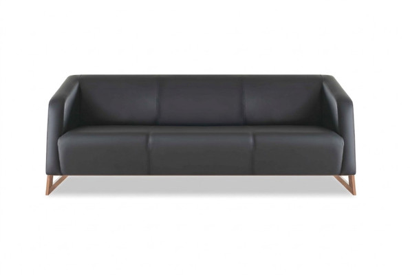 Ledersofa 3-Sitzer Modern Schwarz Leder Holz Dreisitzig Couch Armlehnen