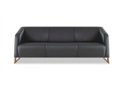 Ledersofa 3-Sitzer Modern Schwarz Leder Holz Dreisitzig Couch Armlehnen