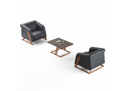 Sitzmöbel Sessel Couchtisch Schwarz Braun Bronze Leder Modern Edelstahl