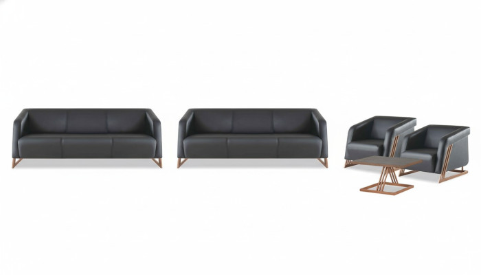 Ledersofas Couch 3-Sitzer Sessel Couchtisch Sofa-Set Sofagarnituren