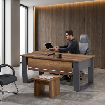 Arbeitszimmer Set Schreibtisch Arbeitsfläche Kommode Couchtisch Holz