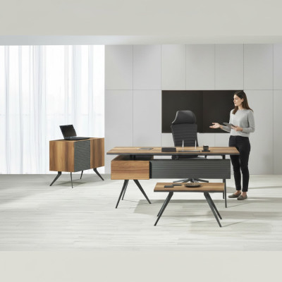 Büroassistentin Büroschrank Büroorganisatorin Kommode Schrank Büromöbel