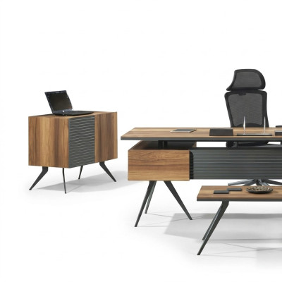 Büroassistentin Büroschrank Büroorganisatorin Kommode Schrank Büromöbel