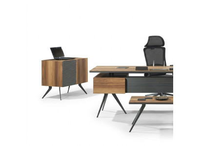 Büroassistentin Büroschrank Büroorganisatorin Kommode Schrank Büromöbel