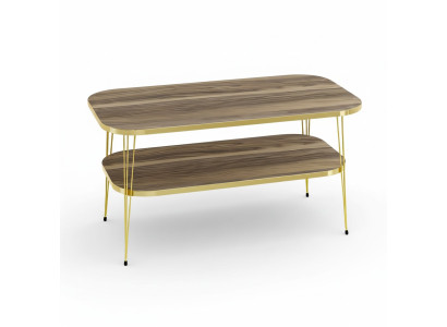 Eleganter brauner Couchtisch aus Holz mit Edelstahl in modernem Design