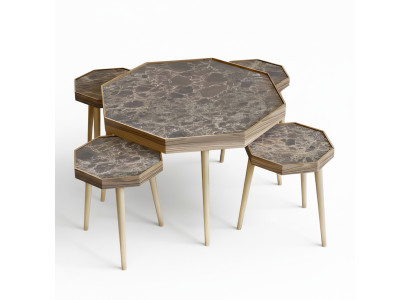 Eleganter Brauner Holz Couchtisch mit Beistelltischen im Set