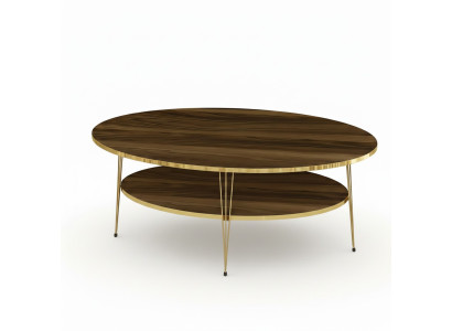 Moderner Couchtisch aus Holz in Braun