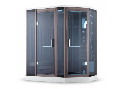 Sauna 2-in-1 Wellnesskabine Duschkabine Dampfsauna Wellnesskabine 190x120 cm