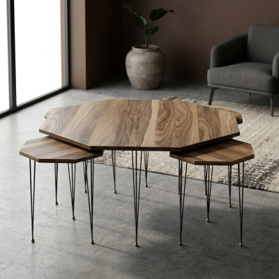 Eleganter Holz-Couchtisch mit Beistelltischen in Braun