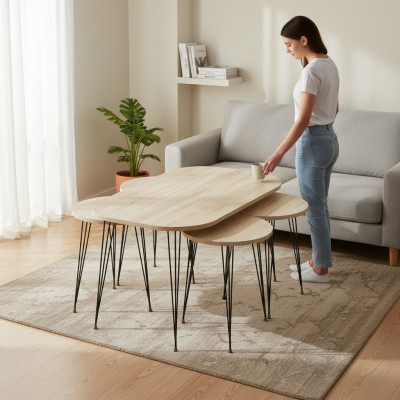 Moderner Holz-Couchtisch mit Beistelltischen in Braun