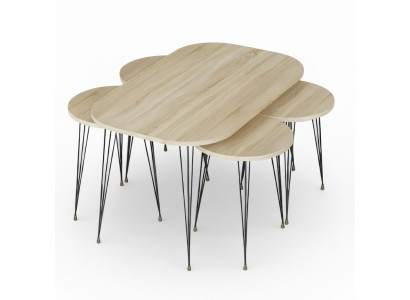 Moderner Holz-Couchtisch mit Beistelltischen in Braun
