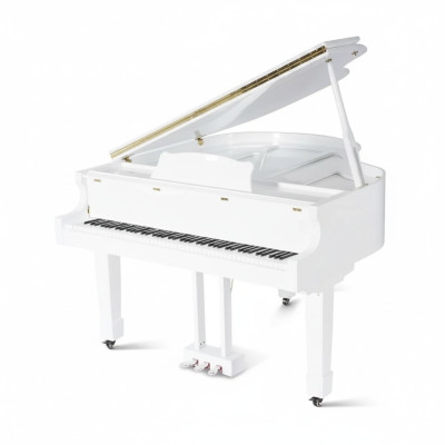 Klavier Digitalpiano Flügelklavier Hochglanz Schwarz Piano Klaviere
