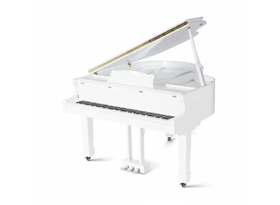 Klavier Digitalpiano Flügelklavier Hochglanz Schwarz Piano Klaviere