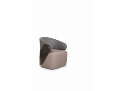 Moderner Sessel Metallakzente Kombinierte Polsterung Soft Luxury-Stil