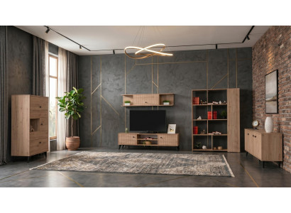 Braunes Wohnzimmer TV-Schrank Vitrinenschrank Konsole Bücherregal