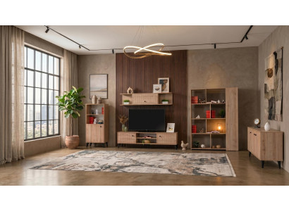 Luxuriöses braunes Wohnzimmer-Set TV-Möbel Vitrine Konsole Bücherregal