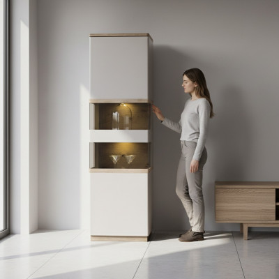 Klassische Schrank Bücherschrank Bücherregal Vitrine Vitrinenschrank Glasschrank