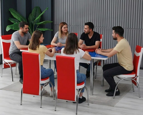Esszimmer Essgruppen Esstisch Stühle Rechteckig Modern Mehrfarbig