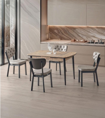 Esszimmer-Set 4x Stuhl Weich Bequem Moderner  Komfortabel Grau